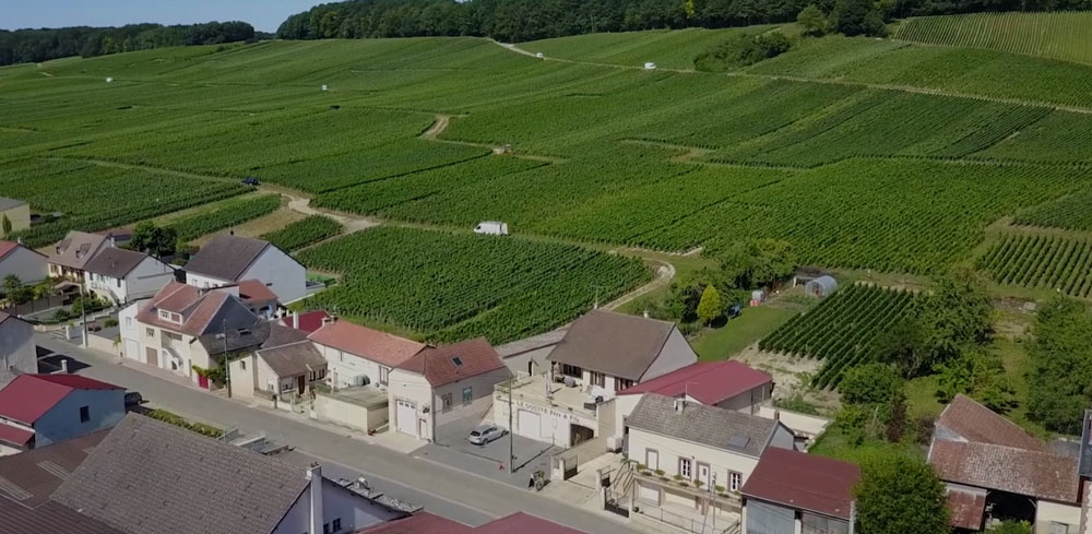 Le vignoble « Coteaux sud d’Epernay »